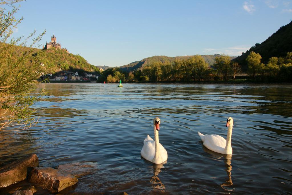 Hotel Klasen Cochem Bagian luar foto